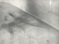 argazkia24